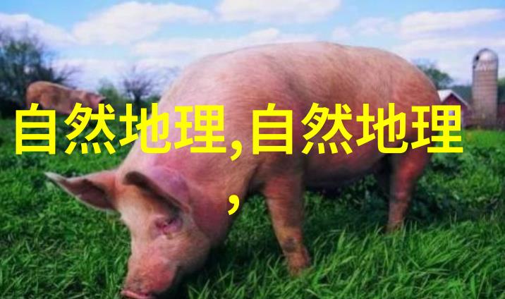 对中国14个地域的秋色点评