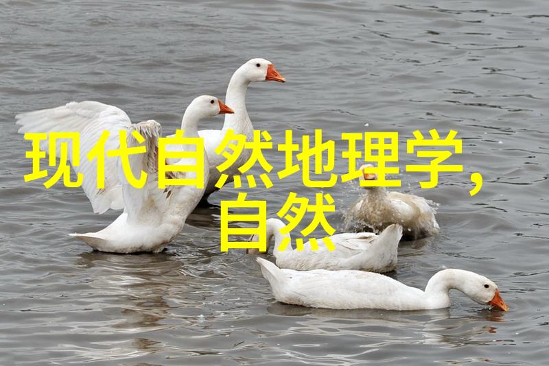 克什克腾旗 中国北方观鸟胜地在此